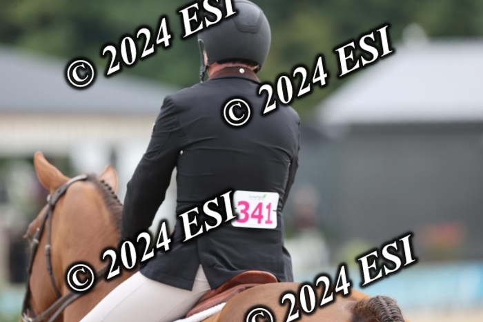 650GAB17288