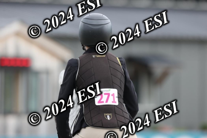 650GAB17305