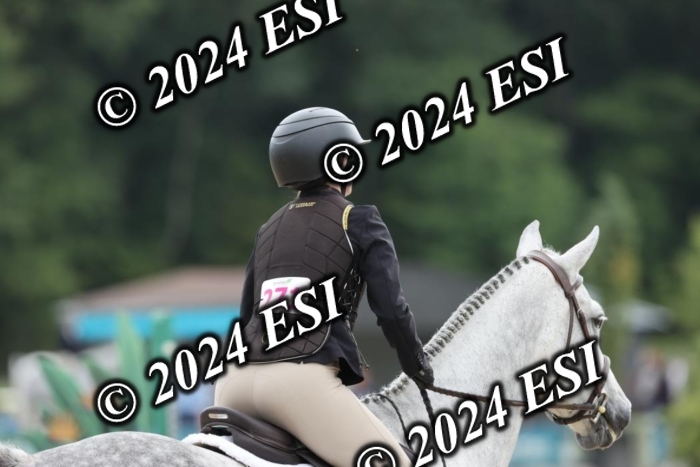 650GAB17309