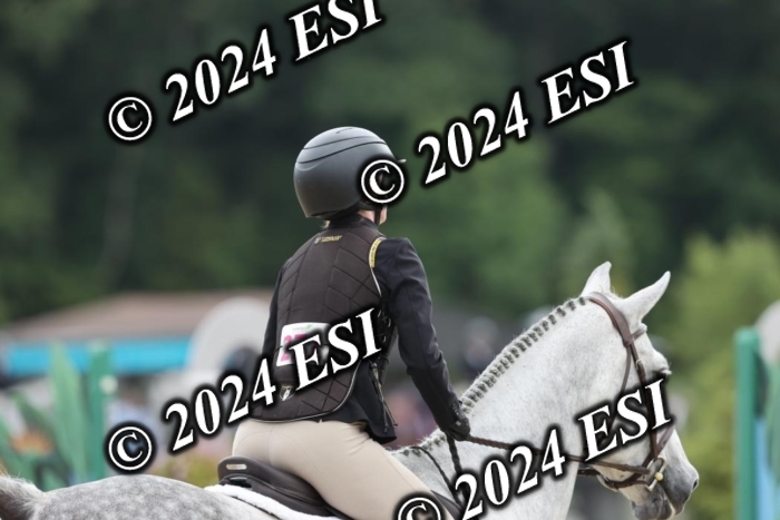 650GAB17310