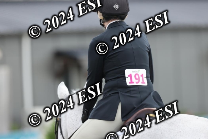 650GAB17319
