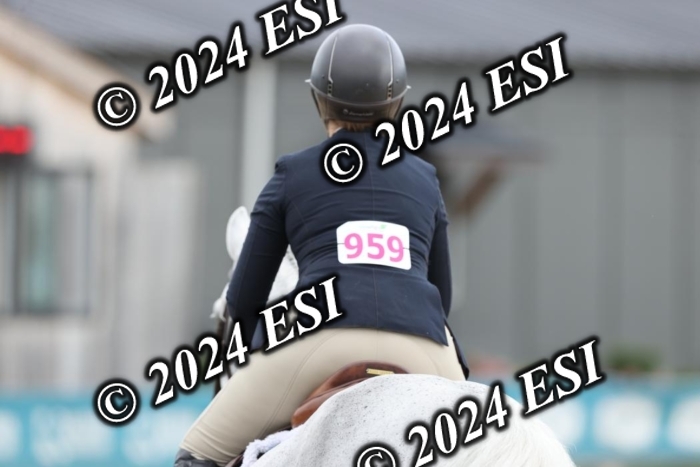 650GAB17341