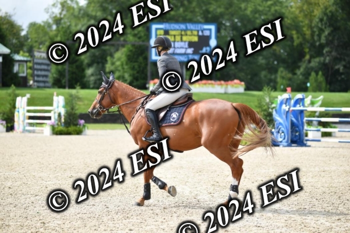 417CAH_9671