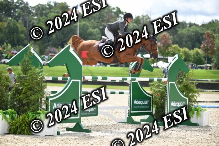417CAH_9674