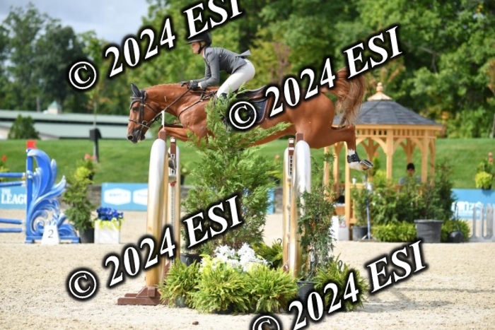 417CAH_9676