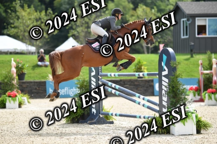 417CAH_9677