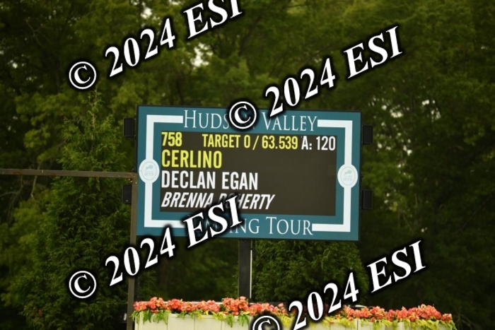 417CAH_9746