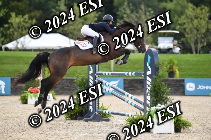 417CAH_9772