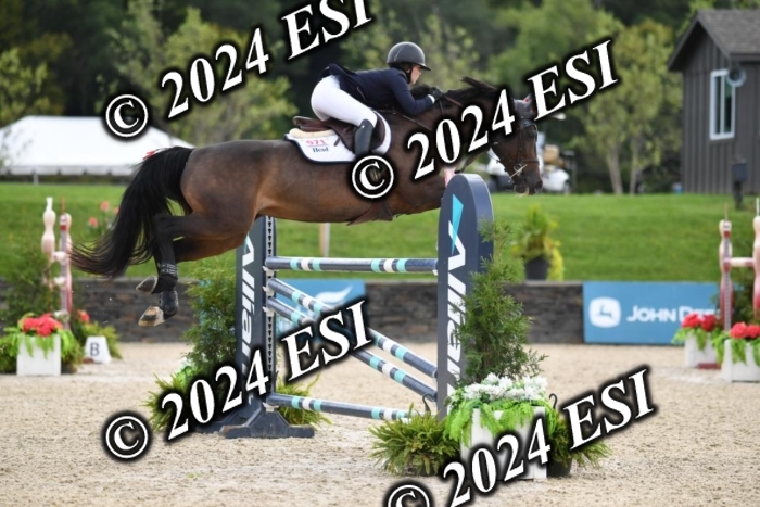 417CAH_9773