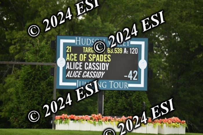 417CAH_9779