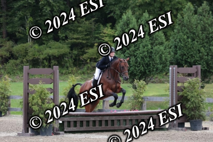 628SC1_3518