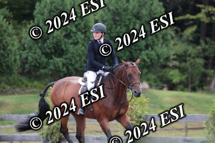 628SC1_3521