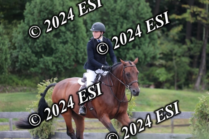 628SC1_3522