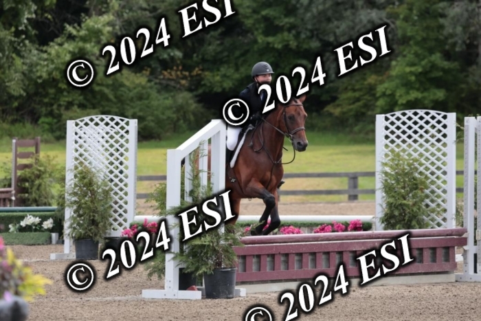 628SC1_3525