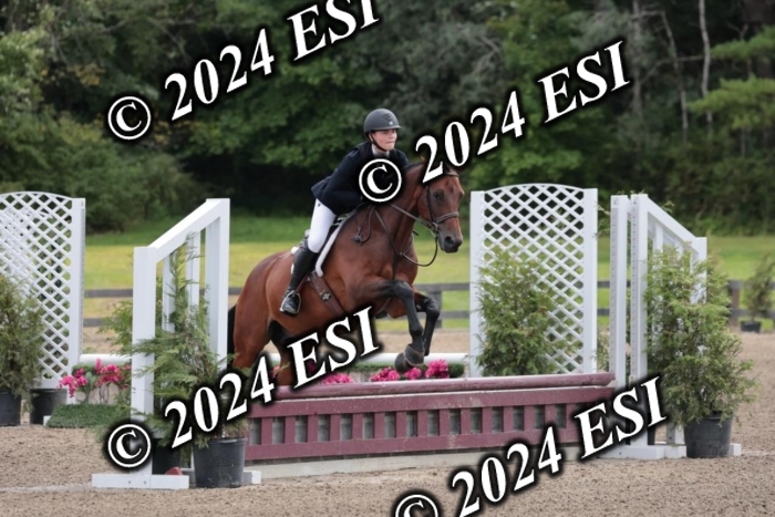 628SC1_3528