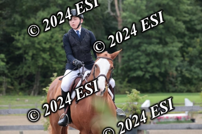 628SC1_3560
