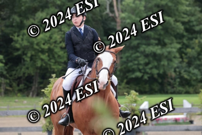 628SC1_3561