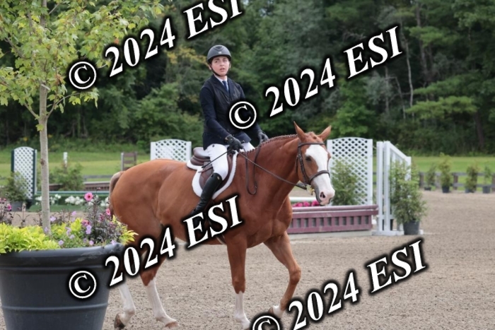 628SC1_3566
