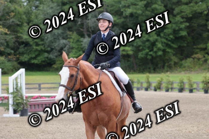 628SC1_3568