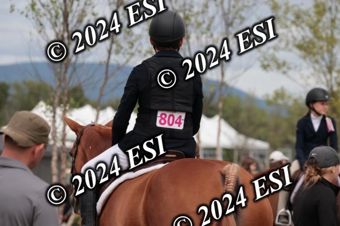 628SC1_3576