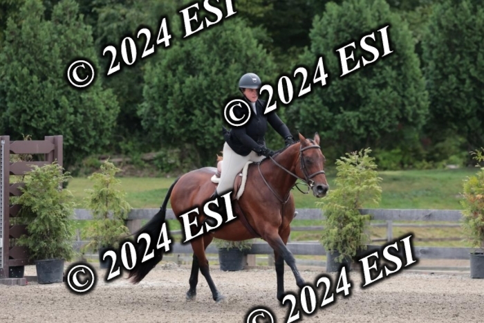628SC1_3588