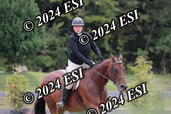 628SC1_3589