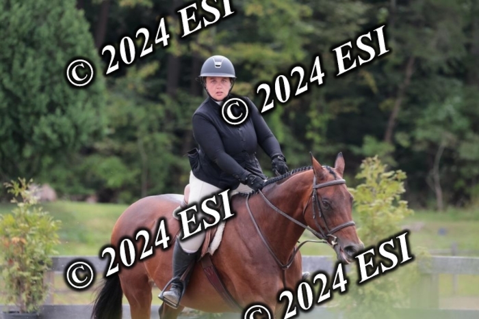 628SC1_3590