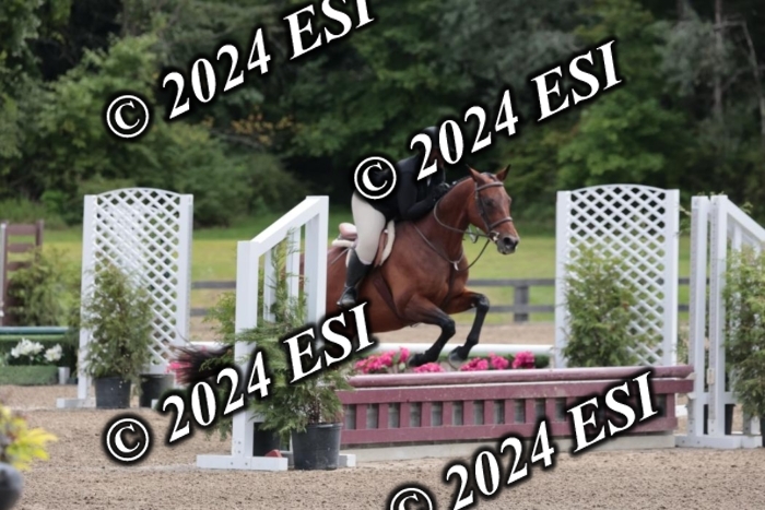 628SC1_3592