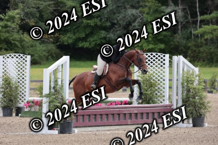 628SC1_3594