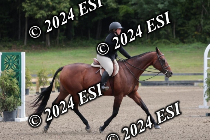 628SC1_3595
