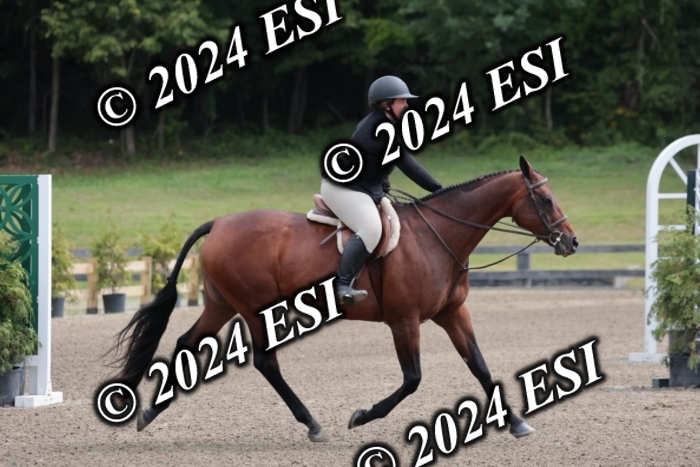 628SC1_3596