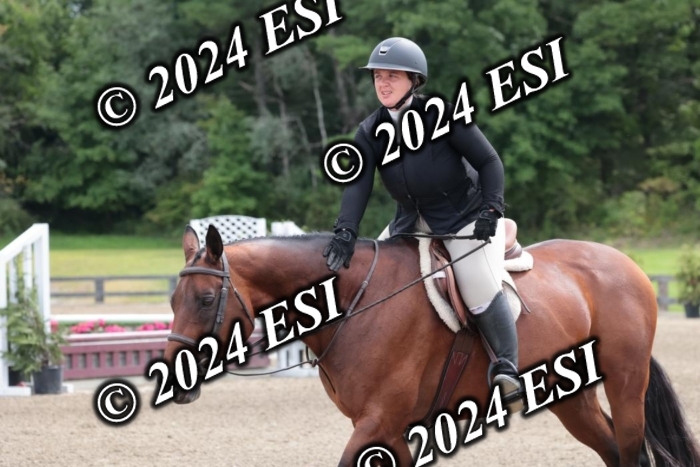 628SC1_3603