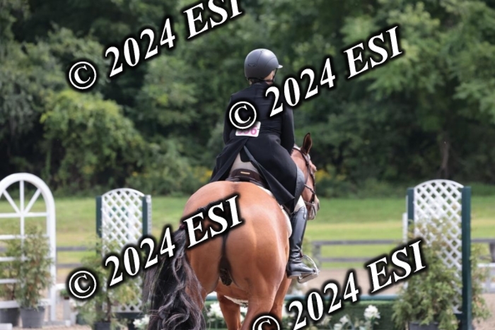 628SC1_3604
