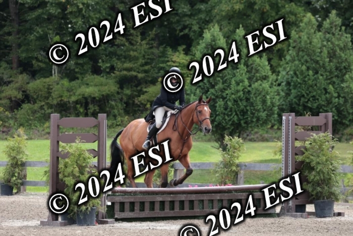 628SC1_3614