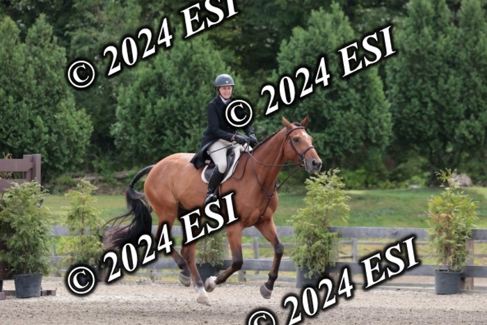 628SC1_3617