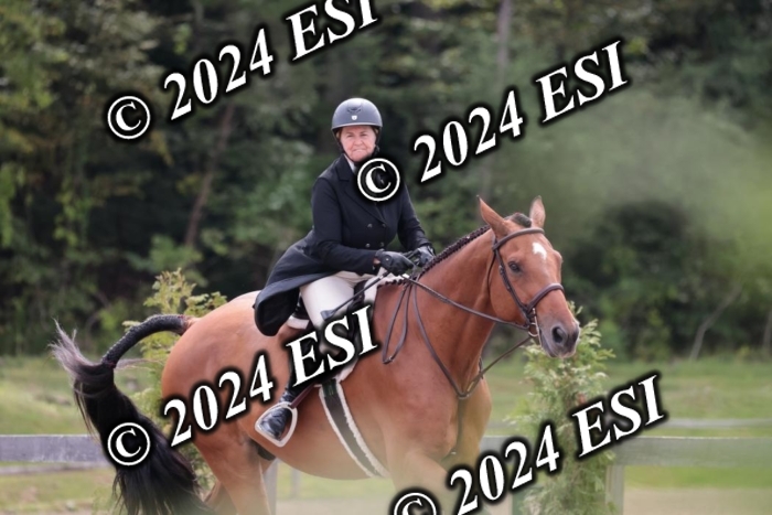 628SC1_3620