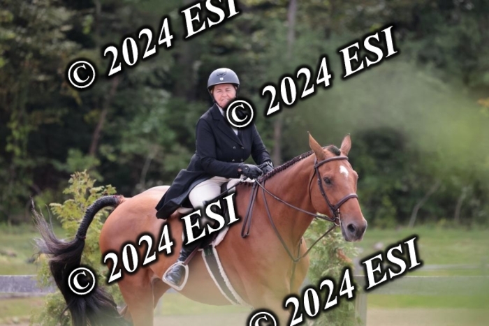 628SC1_3621