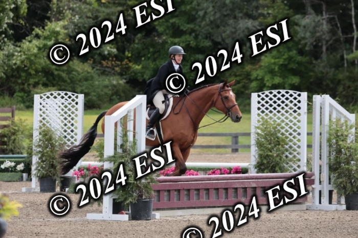 628SC1_3622