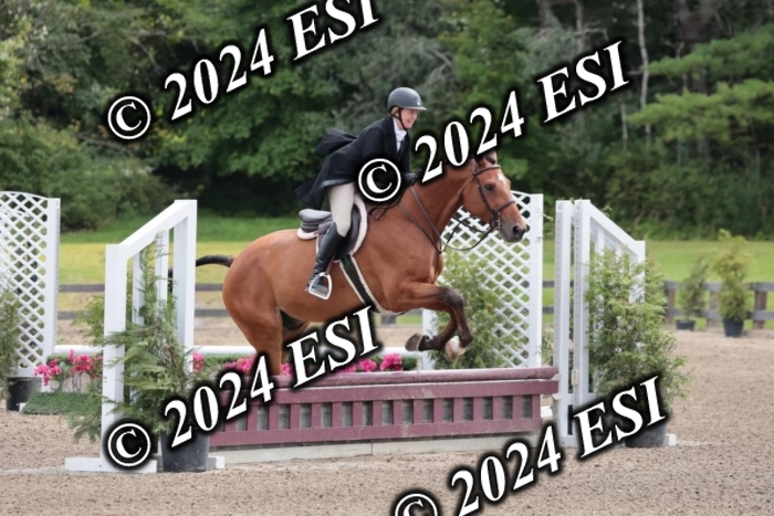 628SC1_3626