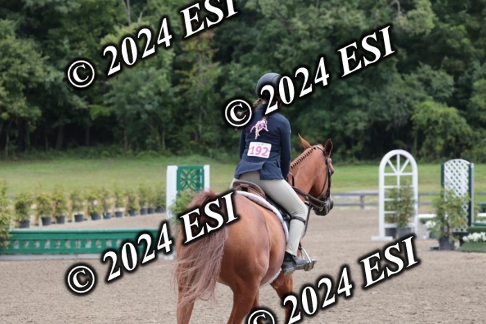 628SC1_3633