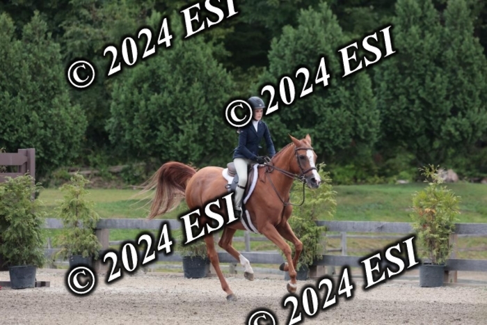628SC1_3643