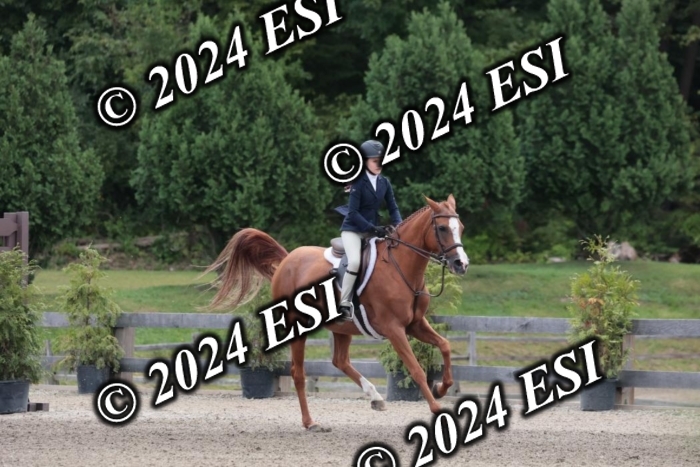 628SC1_3644