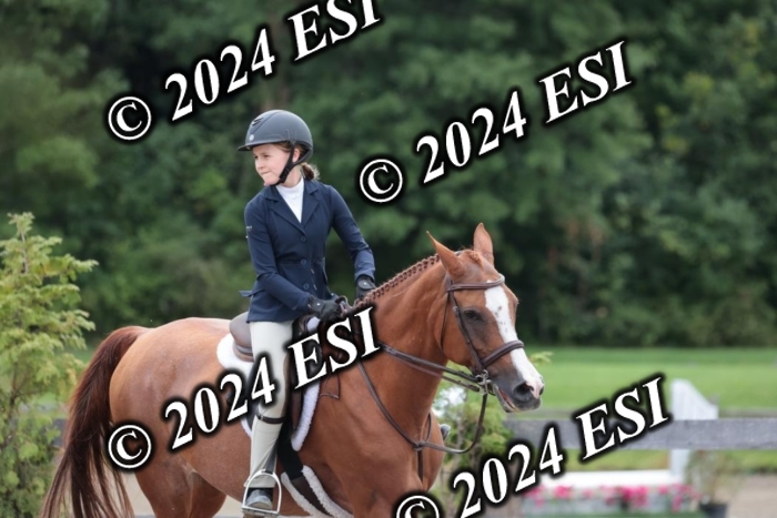 628SC1_3646