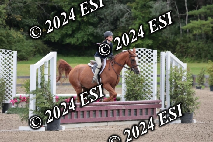 628SC1_3647