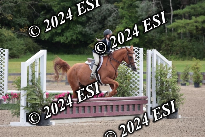628SC1_3648