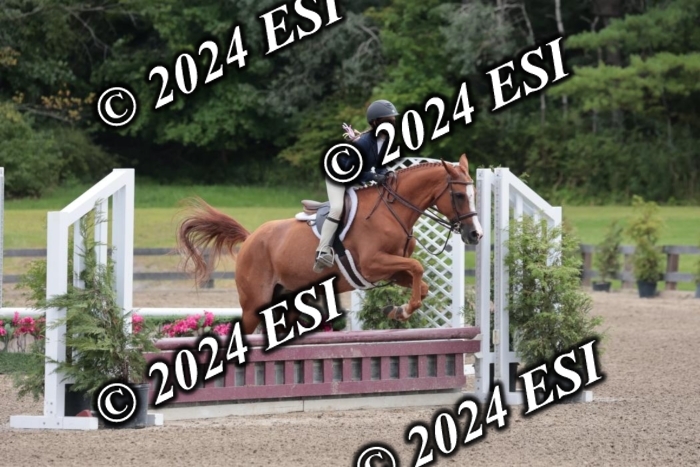 628SC1_3649