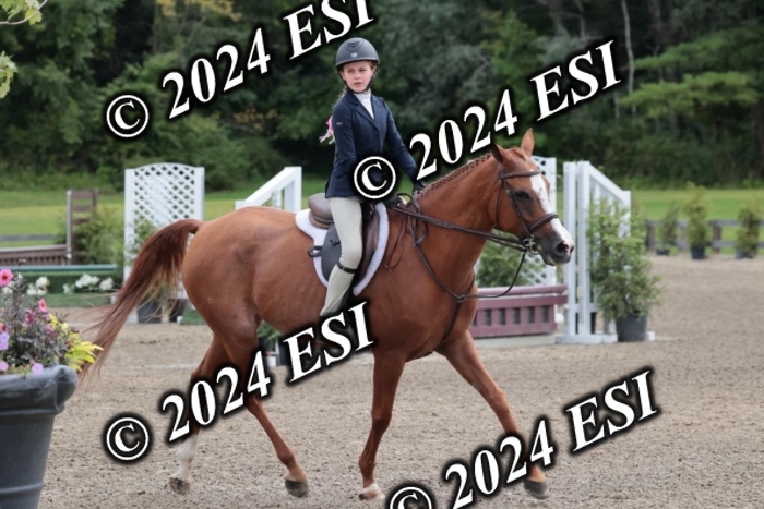 628SC1_3661