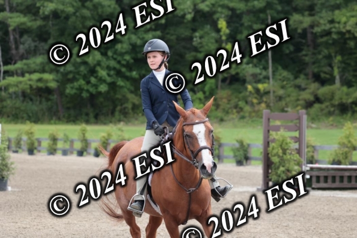 628SC1_3662