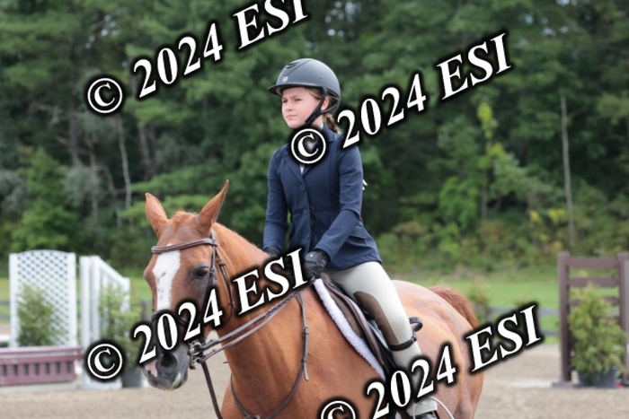 628SC1_3663