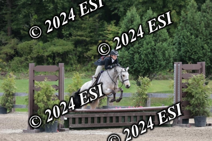 628SC1_3678
